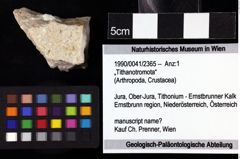 Foto (Objket + Etiketten) von „Tithanotromota“ 